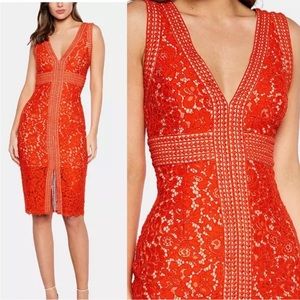 Bardot Lace Sheath Overlay cocktail dress
